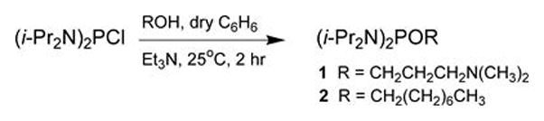 Figure 4.xx.2