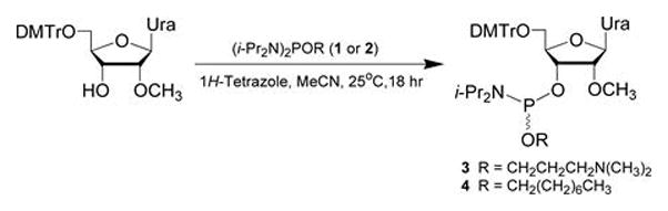 Figure 4.xx.1