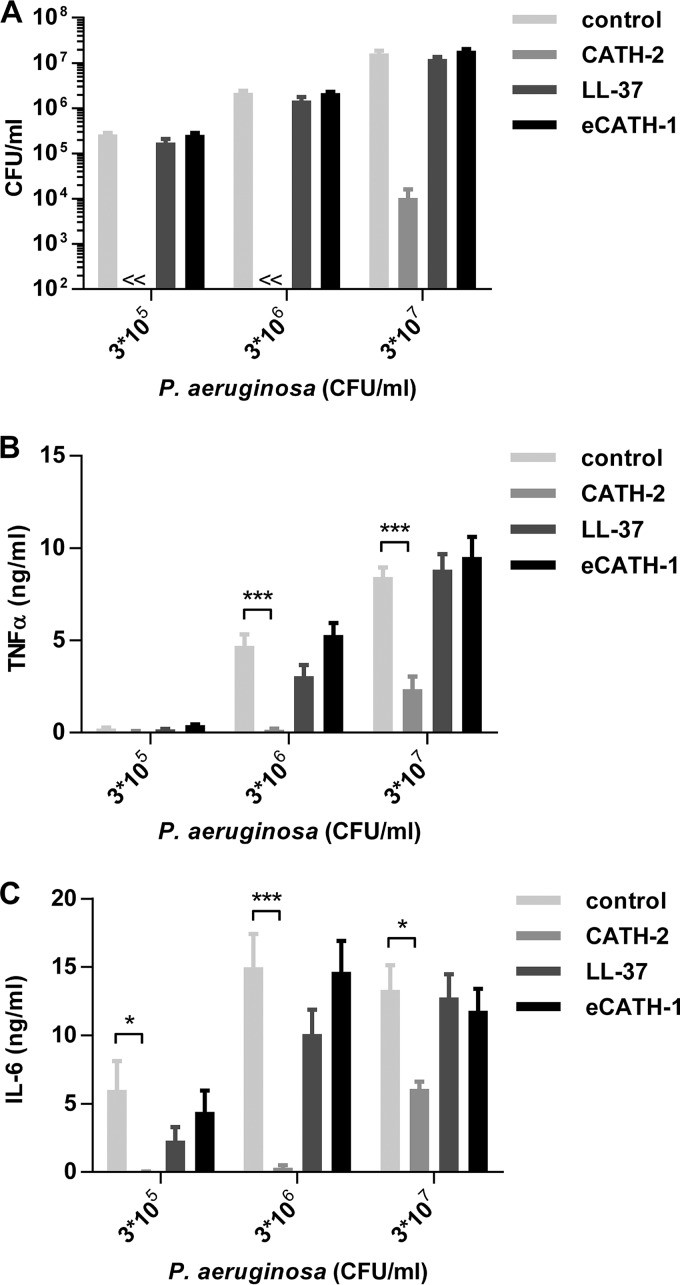 FIG 1