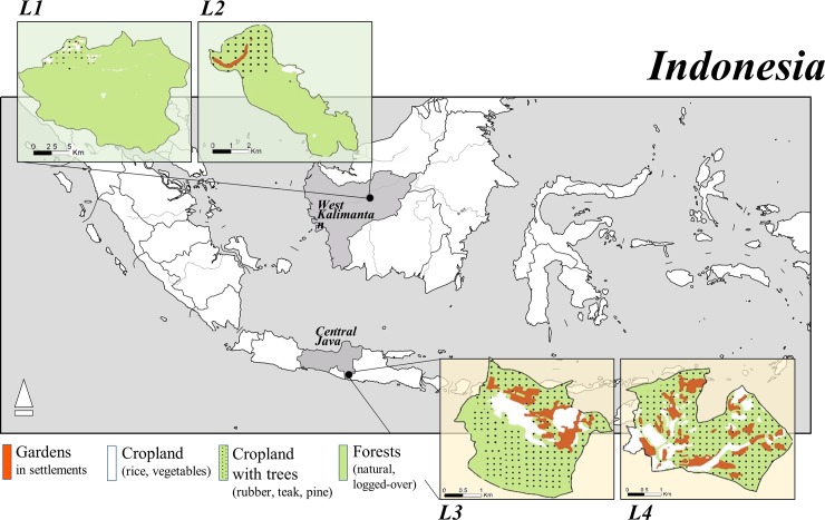 Fig 2