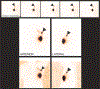 FIGURE 2 |