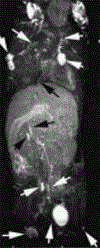 FIGURE 5 |
