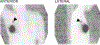 FIGURE 1 |