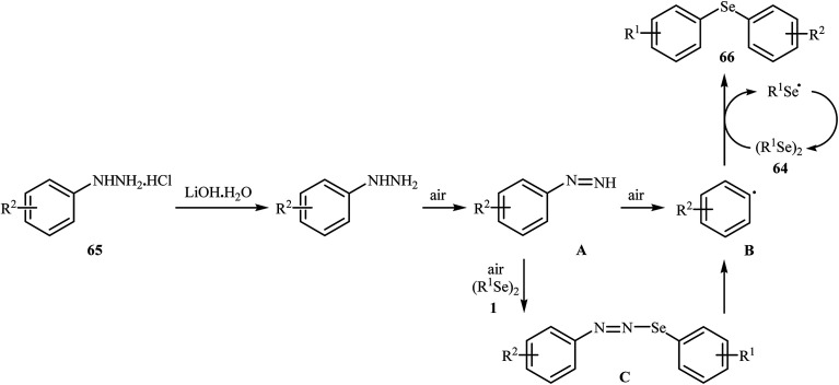 Scheme 31