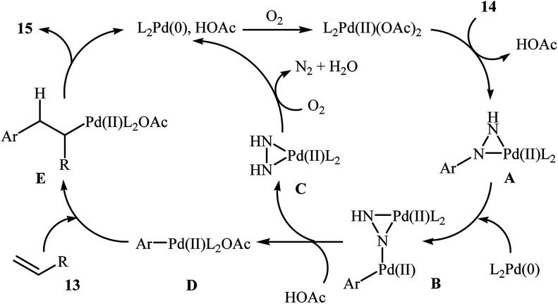 Scheme 8