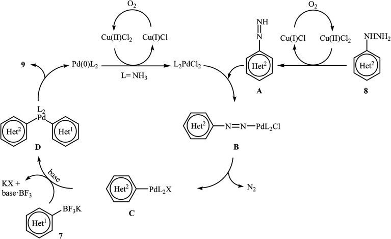 Scheme 5