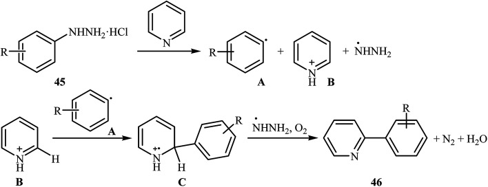 Scheme 23