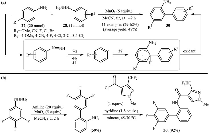 Scheme 15