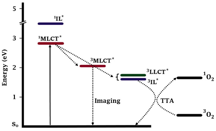 Figure 9