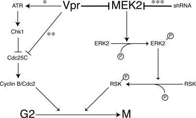 FIG. 8.