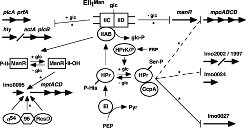 FIG. 1.