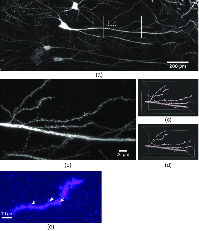 Fig. 4