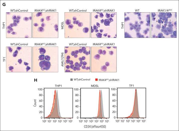 Figure 4.