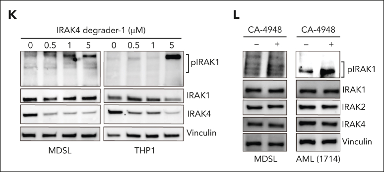 Figure 1.