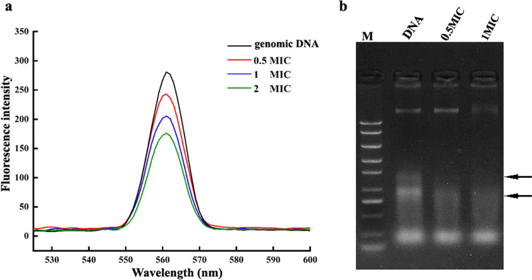 Fig. 9