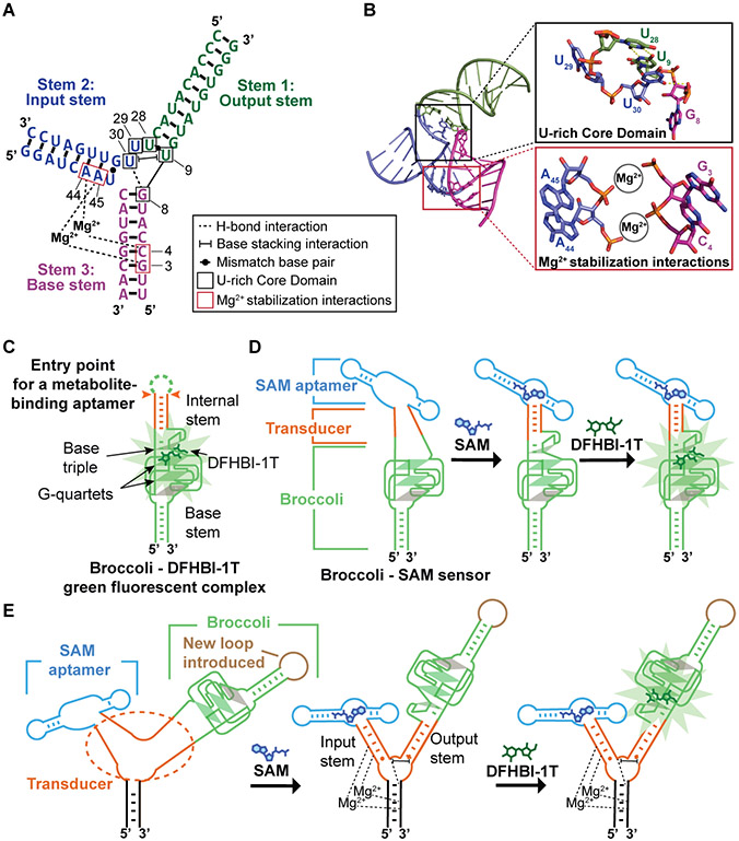 Figure 1.