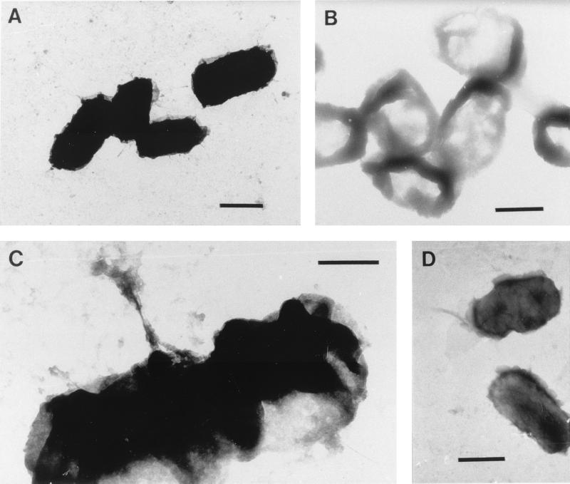 FIG. 10