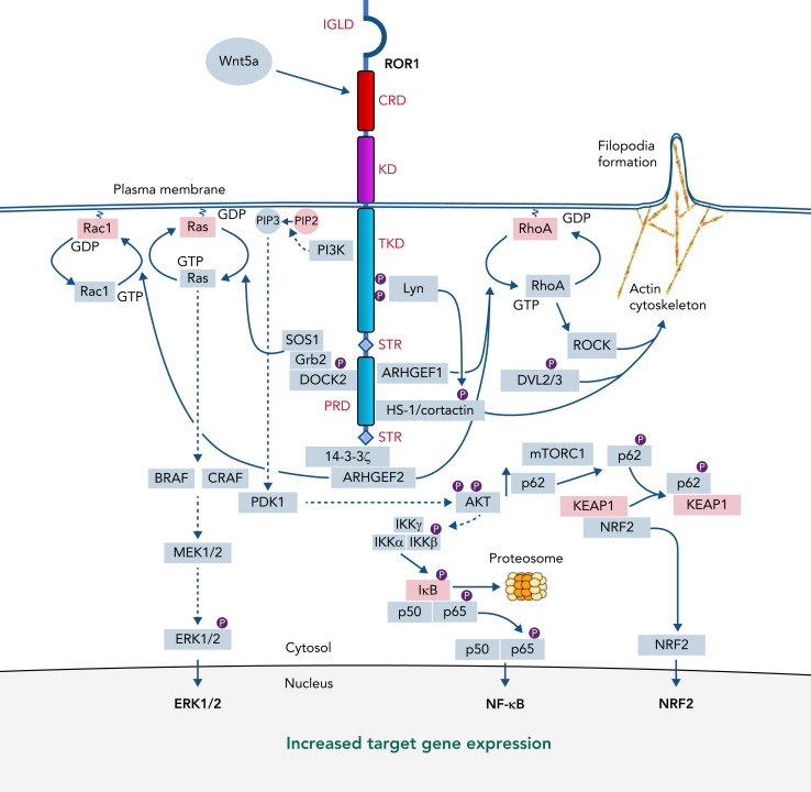 Figure 1.