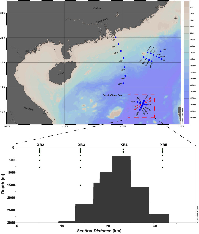 Fig. 1