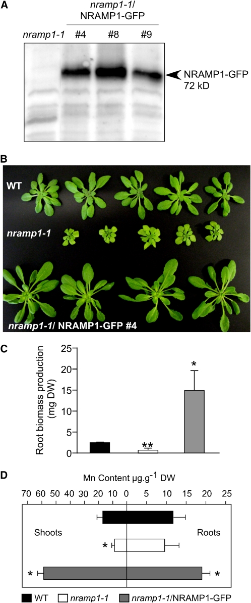 Figure 3.