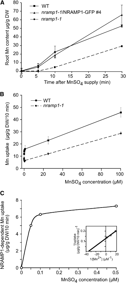 Figure 6.