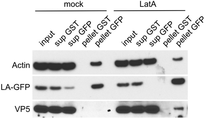 FIG 5 