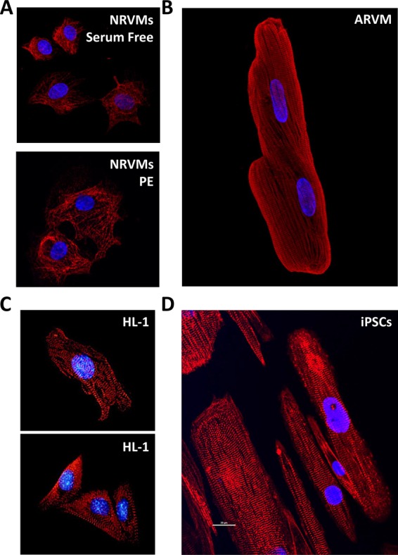 FIGURE 1: