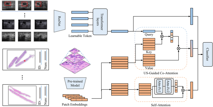 Fig. 2