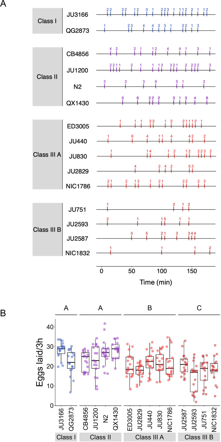 Figure 5—figure supplement 1.