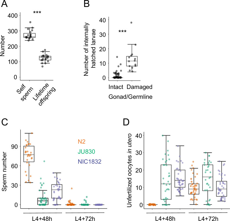 Figure 11—figure supplement 1.