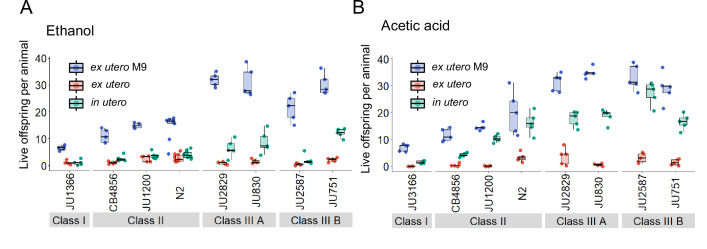 Figure 13—figure supplement 1.