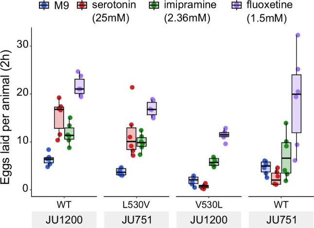 Figure 7—figure supplement 1.