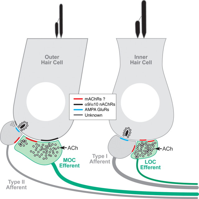 Figure 9.