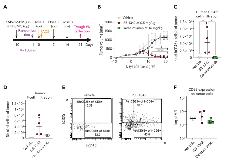 Figure 6.