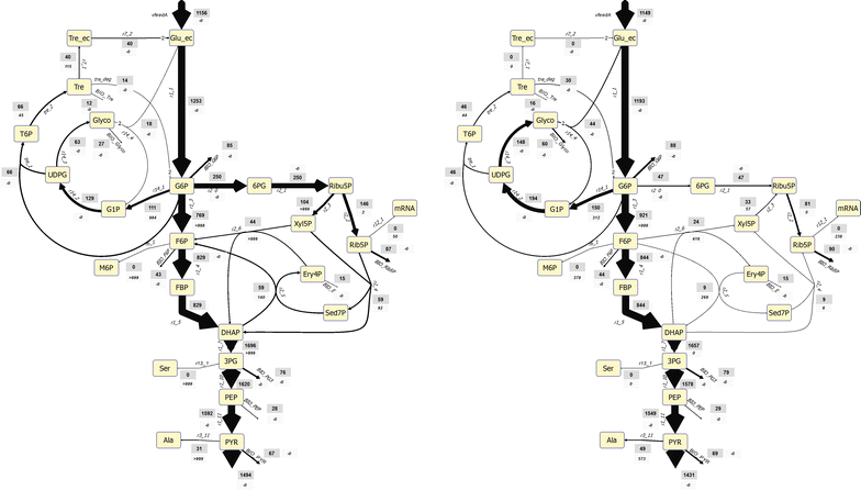Fig. 9