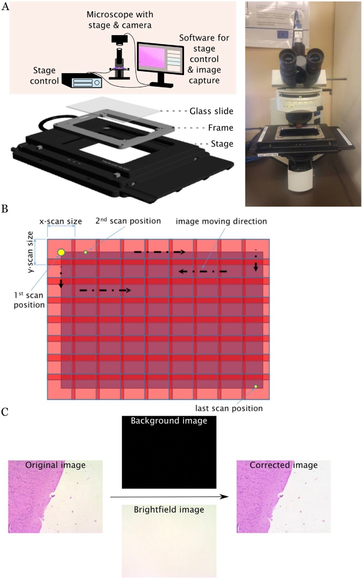 Fig. 1