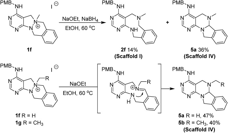 Scheme 3