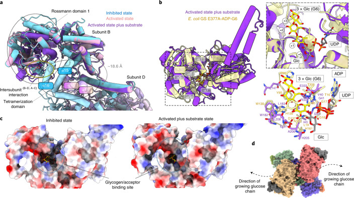 Fig. 4