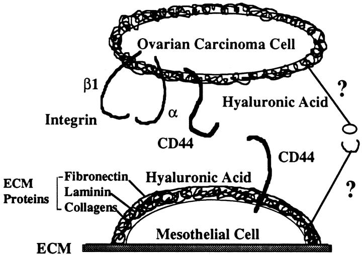 Figure 9.