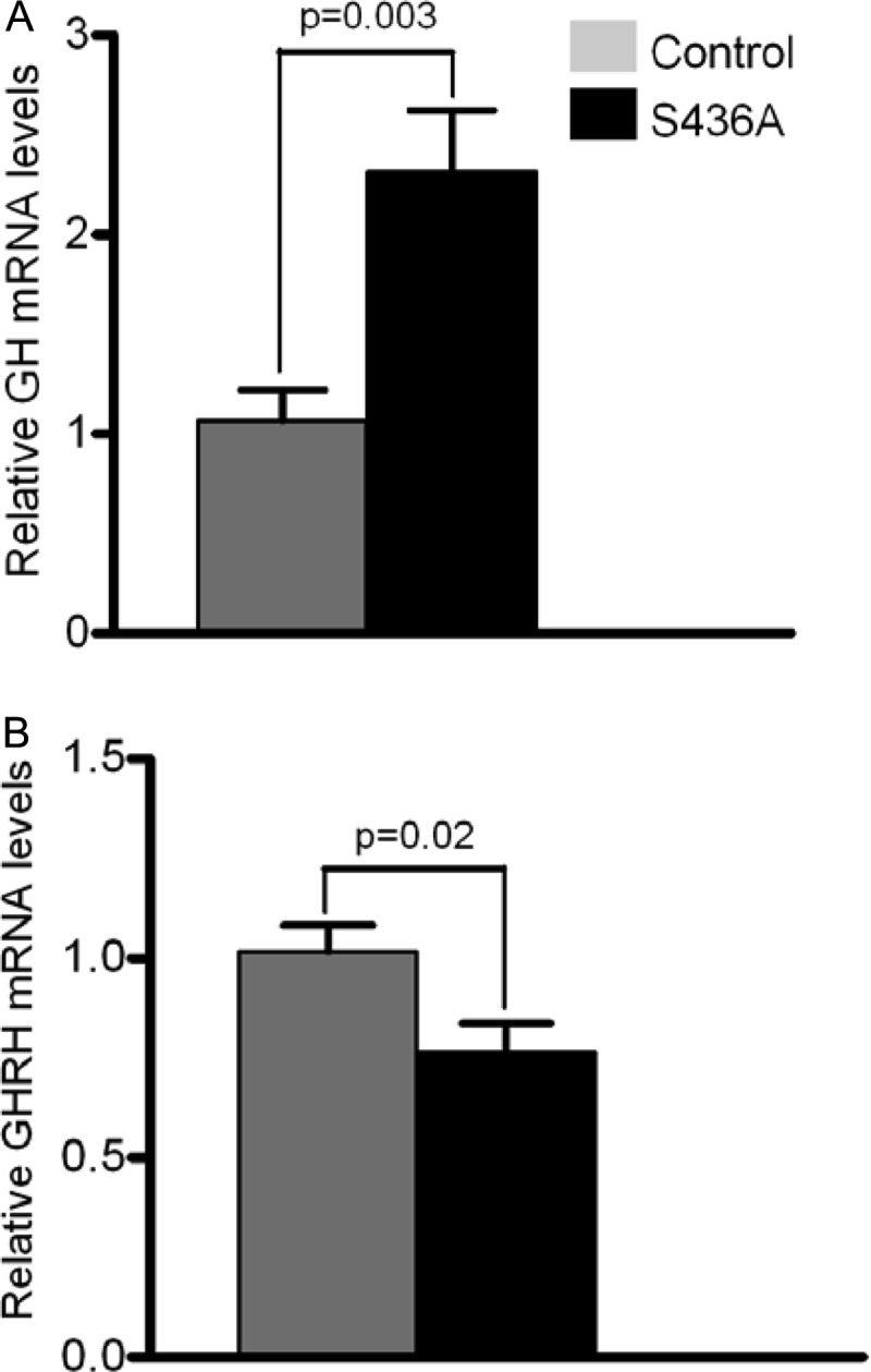 Fig 8