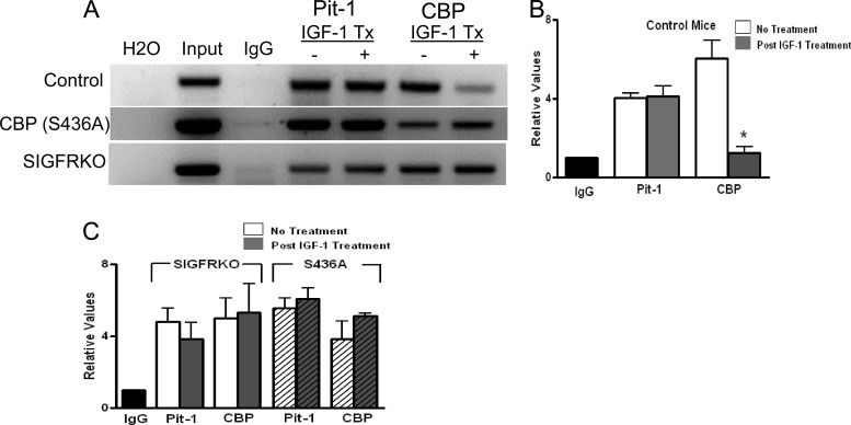 Fig 11