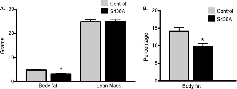 Fig 10