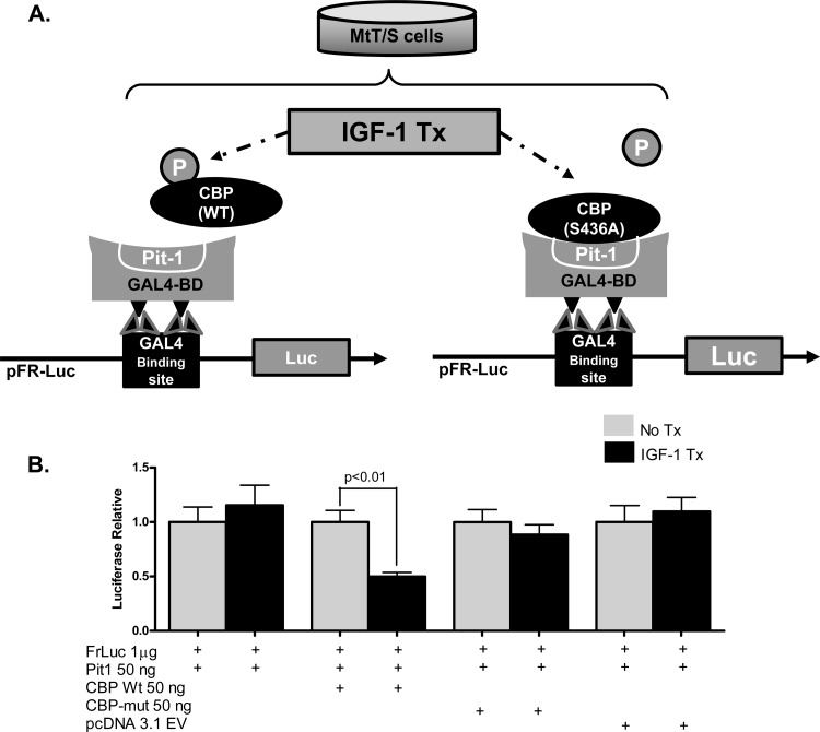 Fig 5