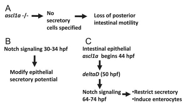 Fig. 11