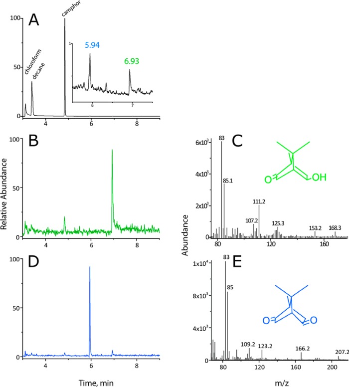 Figure 4.