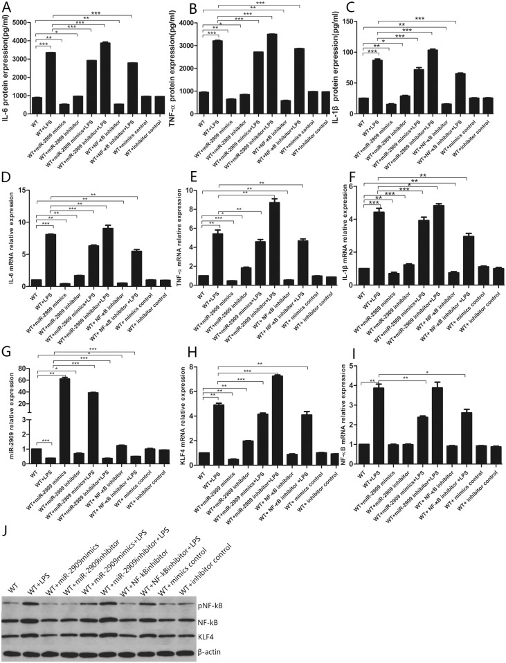 Fig 11