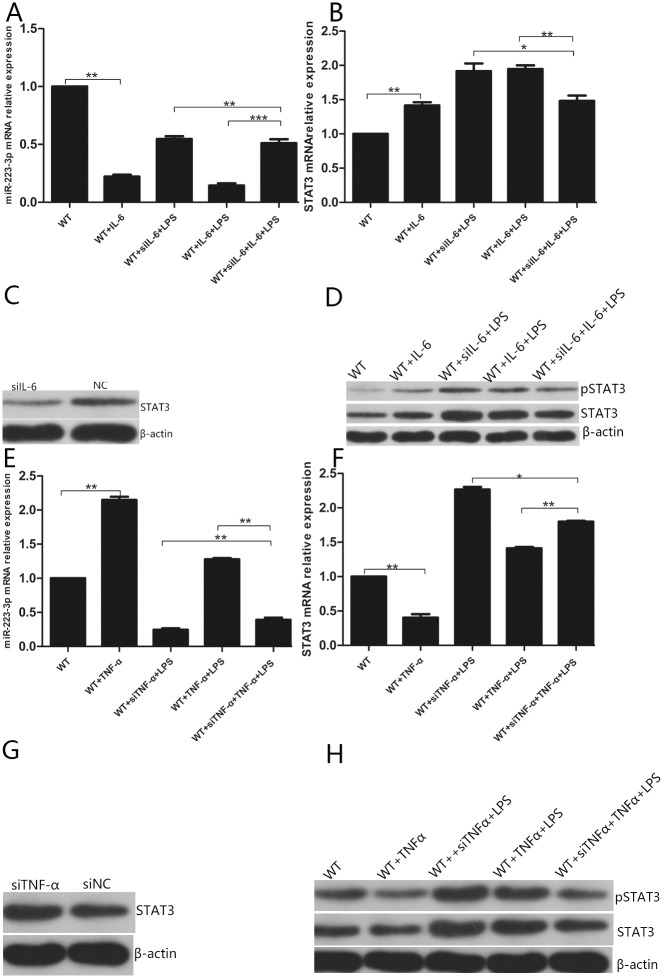 Fig 10