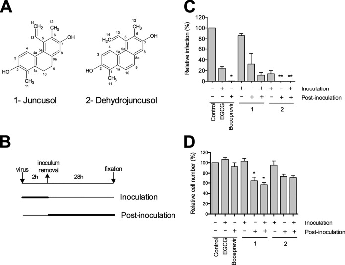 FIG 1