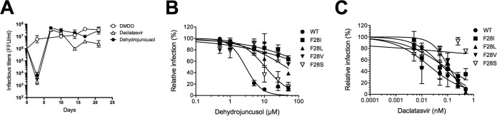 FIG 6