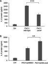 FIG 2